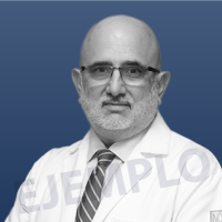 Nombre de ejemploInvestigadora en ciencias Médicas INCMNSZ